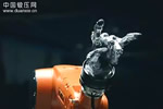 库卡机器人复仇蒂姆波尔
